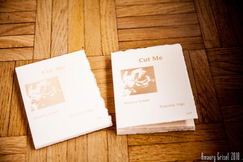 mon dernier livre Cute Megravure sur papier arches tirage à 10 exemplaires plus de détails en MPavec