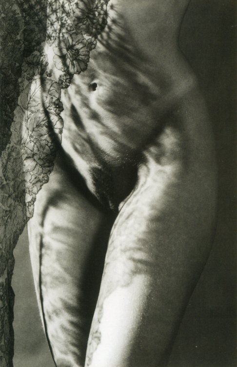 XXX gacougnol:  Gunter BlumTorso and Veil 1996 photo