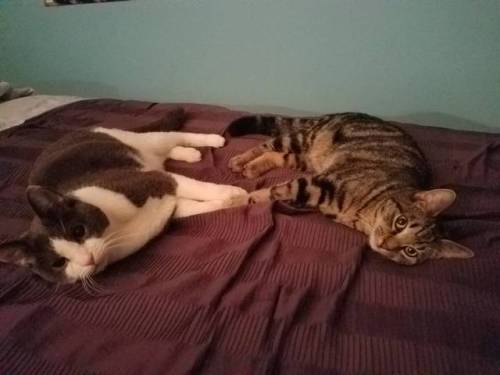 girlfriendluvr: they were holding hands and then they fell asleep like that