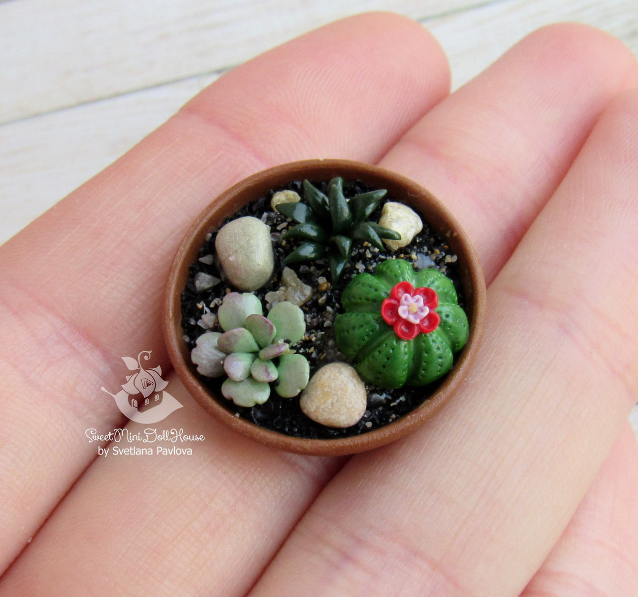 sosuperawesome:  Miniature Food and Succulents by Svetlana Pavlova on EtsySee our