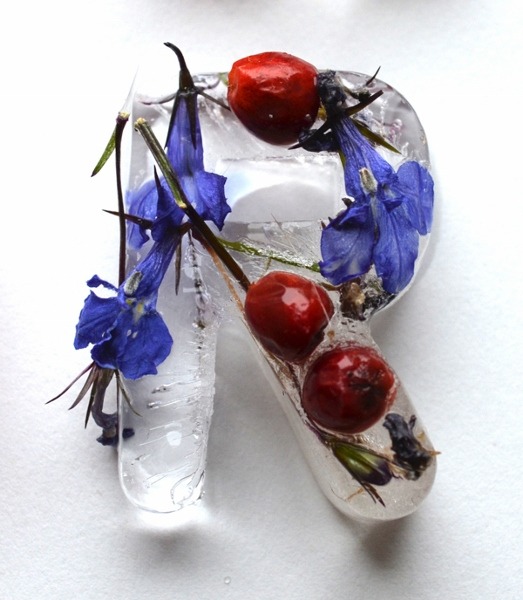 kjevangelista:  Botanical Typography Made with Frozen Flowers in Ice by Petra Blahova