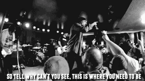 State Champs // Elevated [x]