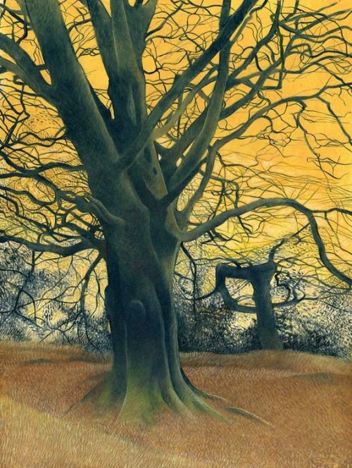 thewoodbetween:Annie Ovenden