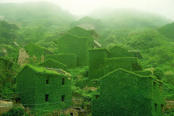 wnq-writers:  culturenlifestyle:  Abandoned Green Village in ChinaA once prosperous fishing village, this green village is completed deserted in present day China; nature has reclaimed its existing civilization. Located on Goqui Island at the mouth of