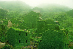 archatlas:      Abandoned Chinese Fishing Village Being Swallowed By Nature  Shengsi, an archipelago of almost 400 islands at the mouth of China’s Yangtze river, holds a secret shrouded in time – an abandoned fishing village being reclaimed by nature.