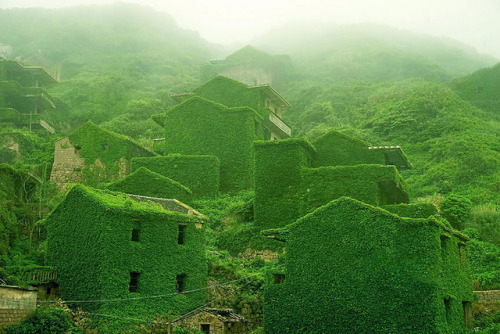 archatlas: Abandoned Chinese Fishing Village Being Swallowed By Nature Shengsi, an archipelago of a