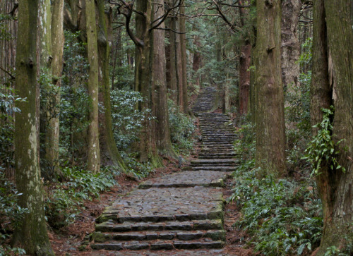 coolthingoftheday: Kumano Kodō is a series of pilgrimage routes through Japan’s largest p