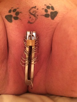 subgirl71:Chastity for Sir tofinobeast