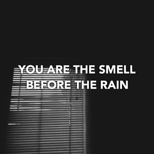 lyricsinthenight: the boy who blocked his own shot // brand new