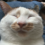 notmidnightsnyx