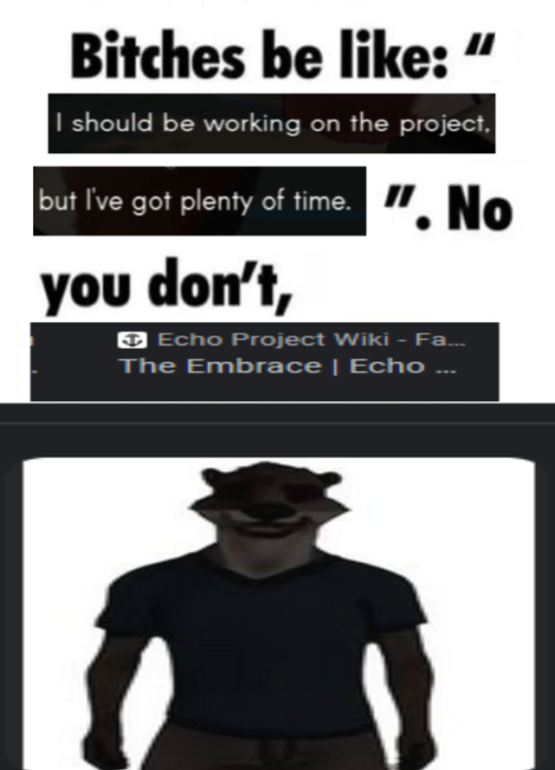 an image edited to say "Bitches be like "I should be working on the project, but I've got plenty of time." No you don't, The Embrace". there is an image of the embrace beneath the text.