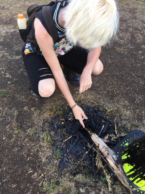 toastoat:somebody buy me a tar pit
