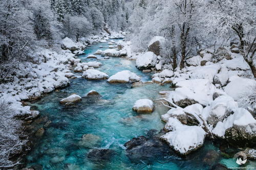 naturalsceneries:  Soca, the most beautiful river in Slovenia, captured on a cold winter morning after a fresh snowfall photo by Luka Esenko 