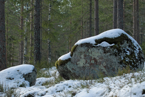 These glacial erratics (boulders transported by ice sheets back in the last ice age)  are typical fo