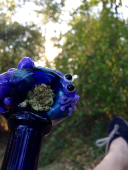 Frog-Slayer:  Hot Boxing The Forrest In My Babes Hammock With My New Piece 