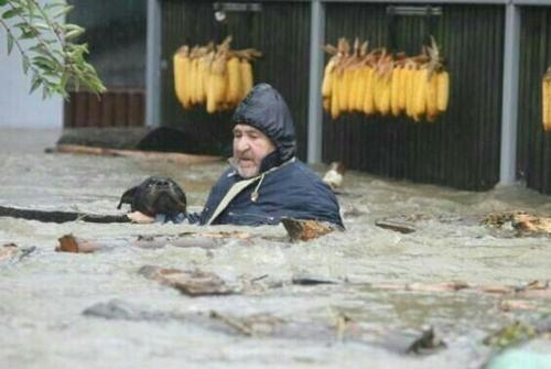 s-selenitas:  Boats sailed through the streets of a Serbian town on Friday on a mission