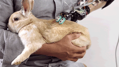 exeunt-pursued-by-a-bear:deusex:Check out this robotic hand which can touch and feel, improving perc