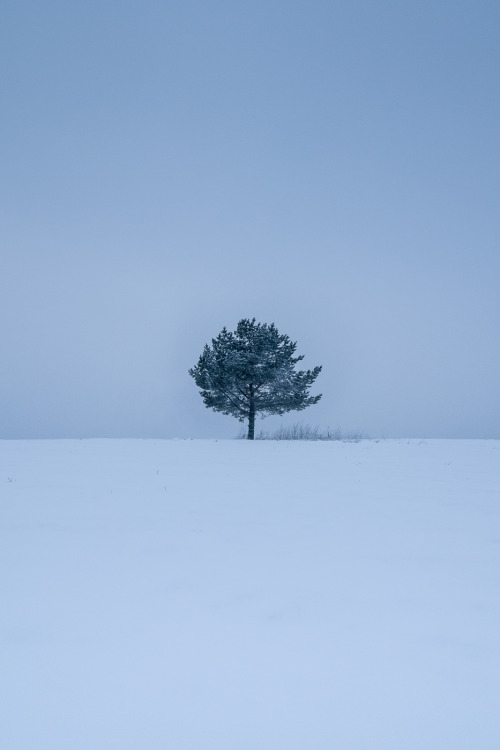 anttihintsa:  high noon / Olympus OM-D EM-1 / Finland