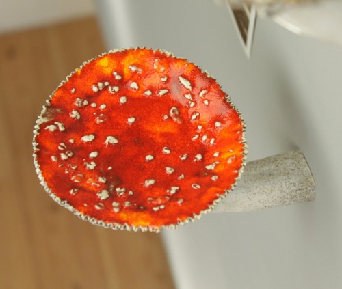 graveyarddirt:zarya-zaryanitsa:sosuperawesome:Mushroom Wall Hooks and ShelvesLeily Cloud on Etsy @ms