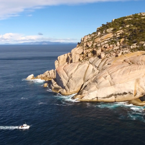 We have been diving the incredible Mistaken Cape of Maria Island, @Tasmania with @imas_utas marine s