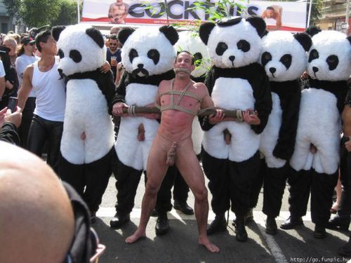 annabellehector:  Panda porn