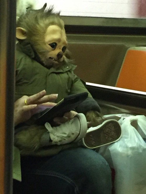 tastefullyoffensive:  Someone explain. (via bootyslime)
