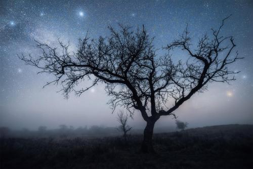 amazinglybeautifulphotography