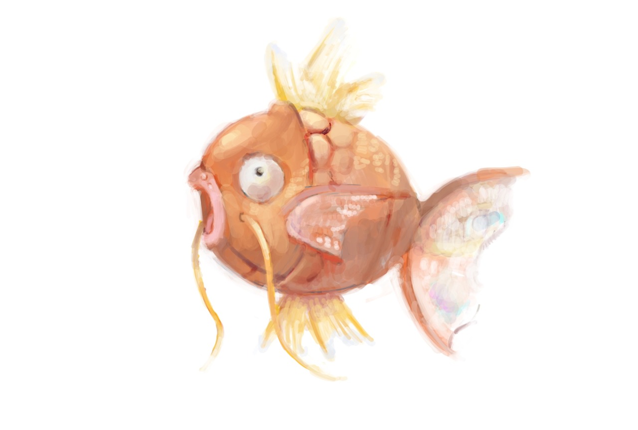 コイキング Tumblr Posts Tumbral Com コイキング Tumblr Posts Tumbral Com