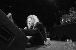 nicolemago:  Mario Cuomo of The Orwells © Nicole Mago - www.NicoleMago.comFacebook | Twitter | Blog 