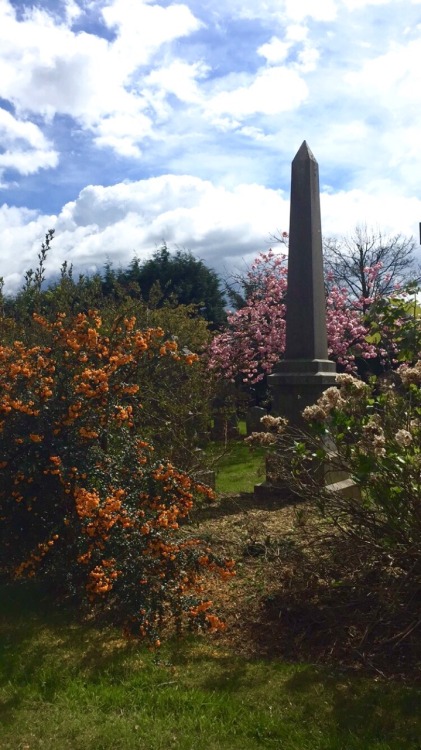 undereyelouisvuittons:The graveyard was so pretty