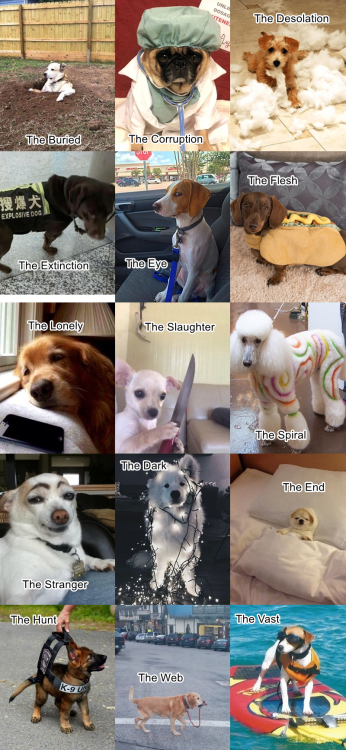 The fifteen entities, but as dogs 