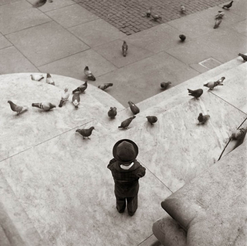 newyorkthegoldenage: Boy feeding the pigeons outside the 42nd Street Library, 1957.Photo: Norman Ler