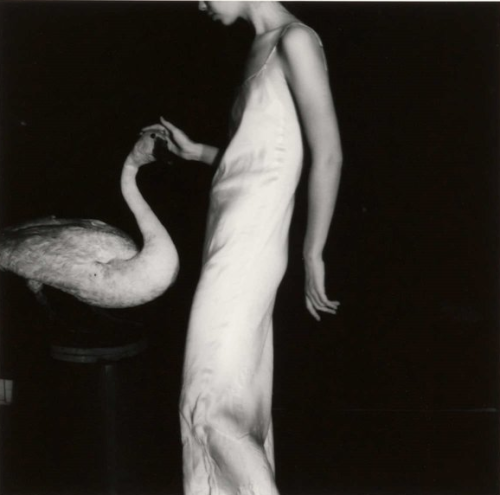 stsalem: Focus on the Feminine Self and Set Aside the Suicide of Francesca Woodman 