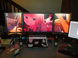 I CAN&rsquo;T HEAR YOU OVER THE HEIGHT OF MY POWER BILL  U3011 with two Dell 2007 FWP IPS screens on the sides. The Antiglare coating throws off the picture at the center, but the color is actually all very accurate.  Holo is my (other) waifu.  Also my