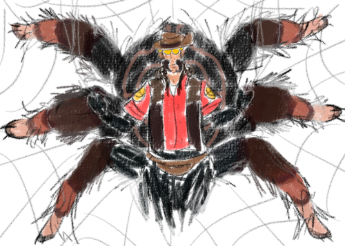 TW: SPIDER