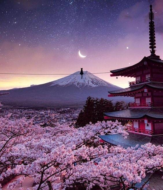 My past week on Japan