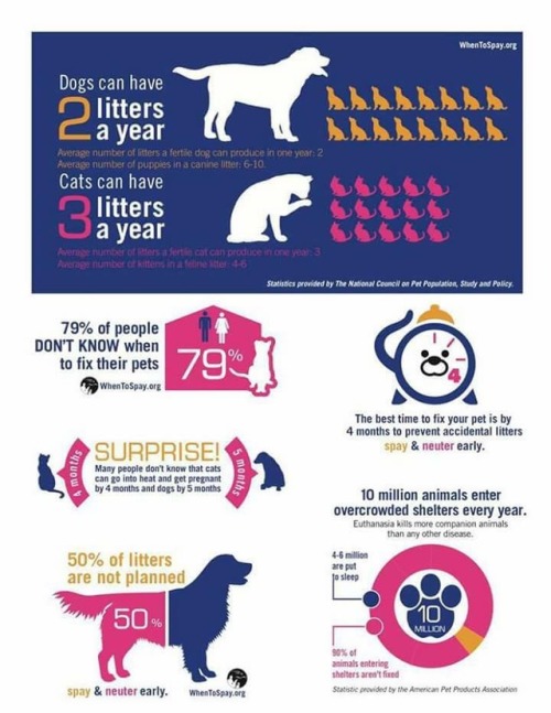 lakenormanhumanenc: February is Spay/Neuter Awareness Month Check out all the options in your commun