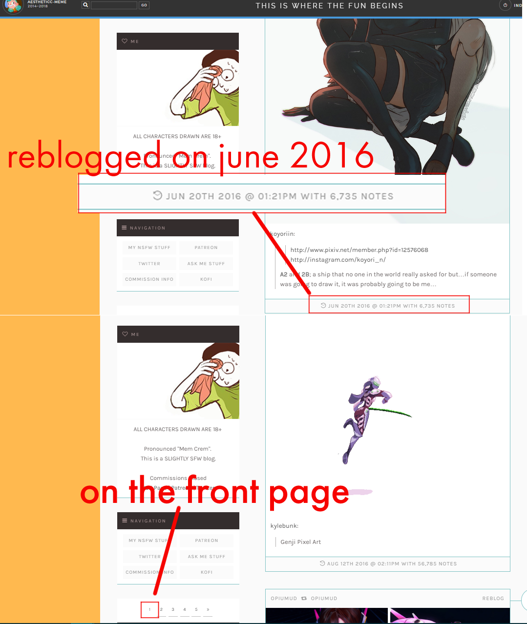 Tumblr why are posts that I reblogged 2-3 years ago on the front of my blog? Burying