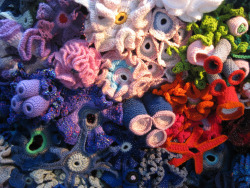 thecranewife:  mottledwithteethmarks:  underthevastblueseas:  The Crochet Coral Reef (CCR) is a project by the Institute For Figuring, a non-profit Los-Angeles based organization that pioneers creative new methods for engaging the public about scientific