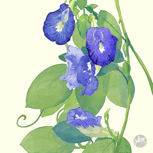 Blue Flowers | INPRNT |