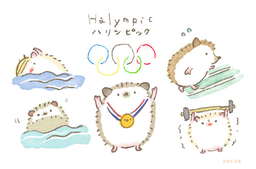 During hedgehog also held the Olympic Games！　ハリンピックも開催中！