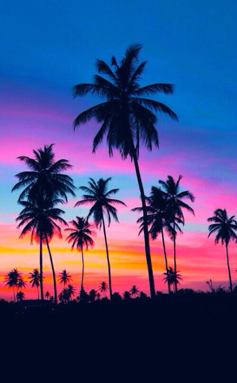 BEAUTY UNDEFINED