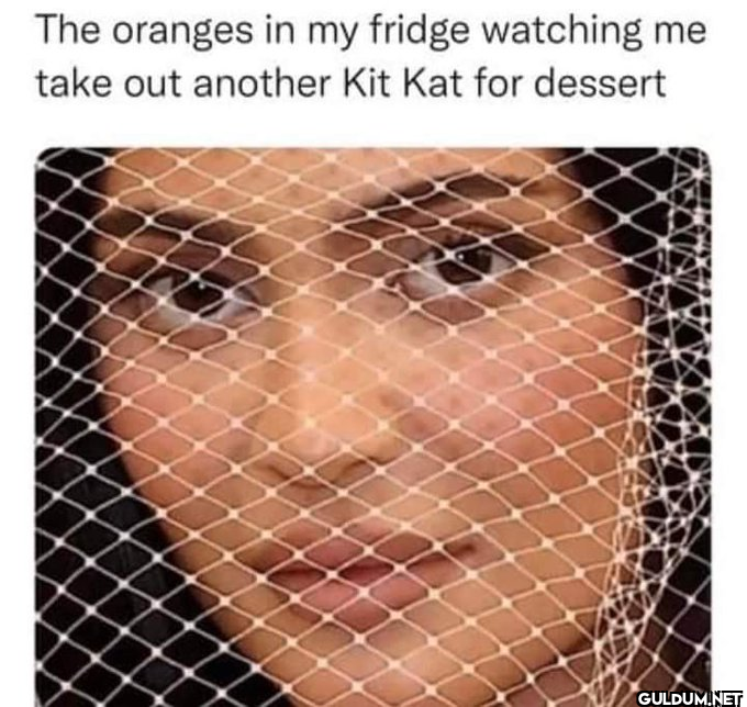 The oranges in my fridge...