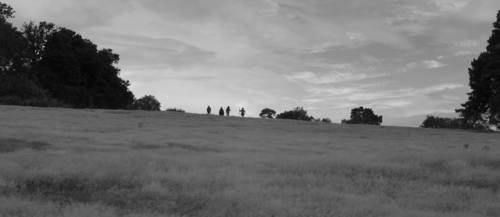 whosthatknocking: A Field in England (2013), dir. Ben Wheatley