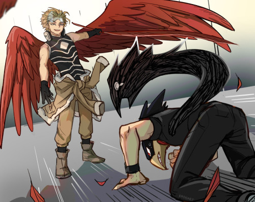 Hawks and Tokoyami 