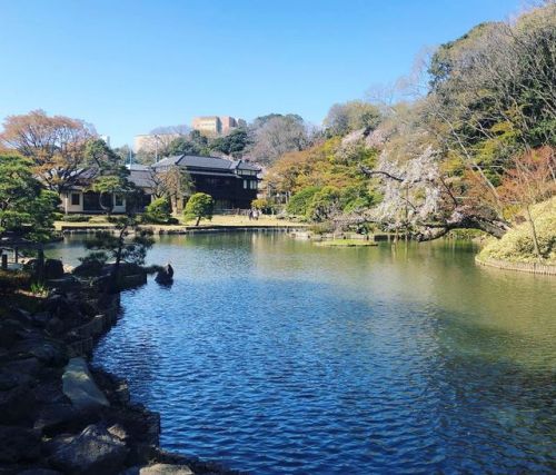 ＼おにわさん更新情報／ ‪[ 東京都文京区 ] 肥後細川庭園（新江戸川公園） Higo Hosokawa Garden(Shin-Edogawa Park), Bunkyo-ku, Tokyo の写真