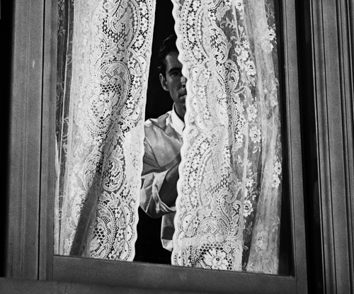 iskarieot:PSYCHO (1960) DIR. ALFRED HITCHCOCKIt’s not like my mother is a maniac or a raving thing. She just goes a  little mad sometimes. We all go a little mad sometimes. Haven’t you?   