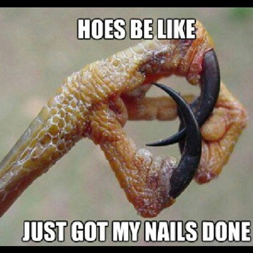 HAHAHA, thank God I’m straight if I had claws coming at me I’d be gay too #hoesbelike #tips #fakenails