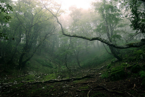 Mt.Oike / Mie Prefecture by sf1003！ on Flickr.