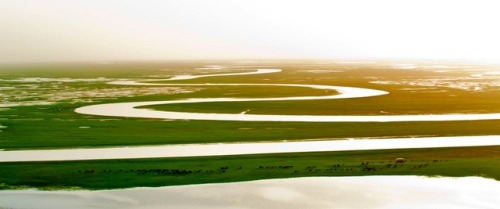 Spring Of Tianshan (The Heavens Mountains)